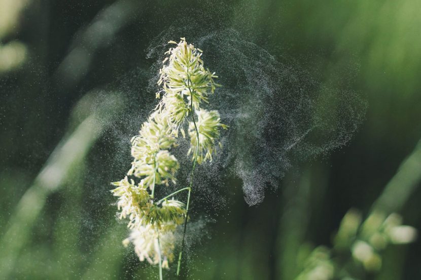 Travelling With Allergies - Tips and Tricks for a Stressfree Trip