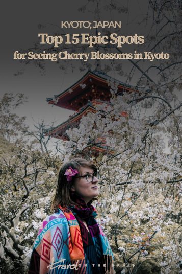 woman with colourful shawl standing underneath white cherry tree in bloom