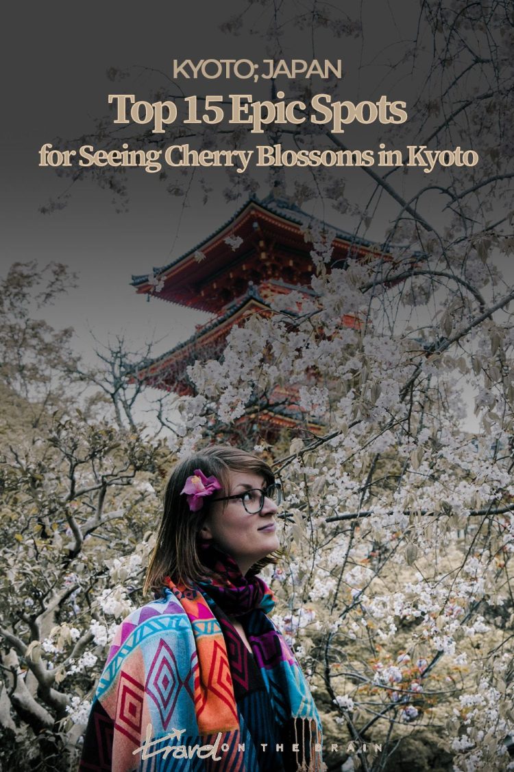 woman with colourful shawl standing underneath white cherry tree in bloom