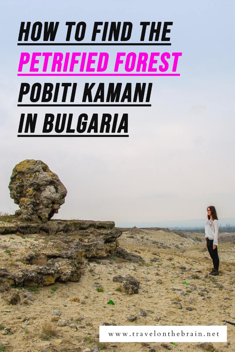 Pin: The Petrified Forest Pobiti Kamani of Varna - How to get there