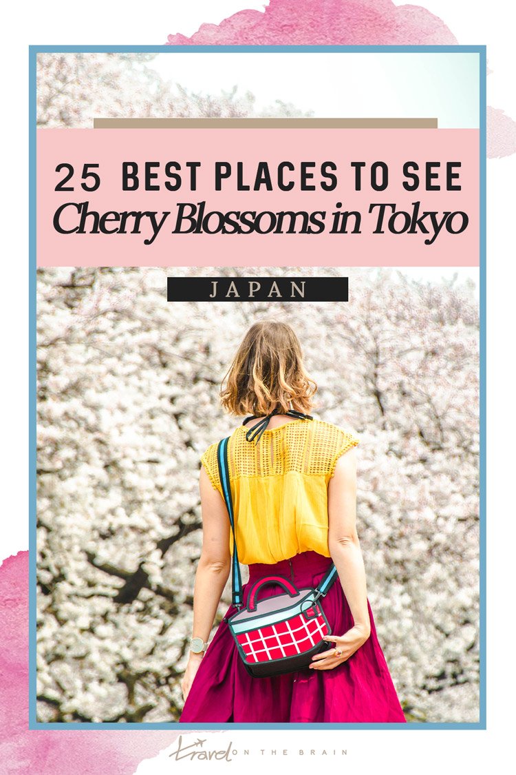 25 Best Places to See Cherry Blossoms in Tokyo