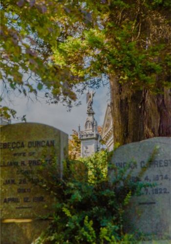 oak trees over stone graves at memorial at Sleepy Hollow cemetery NY