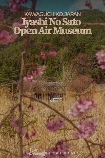 brown thatched house in yellow meadow surrounded by pink cherry blossoms