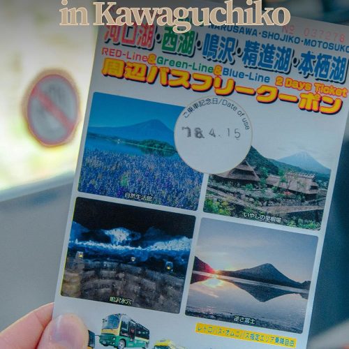 hand holding bus ticket with photos in a bus