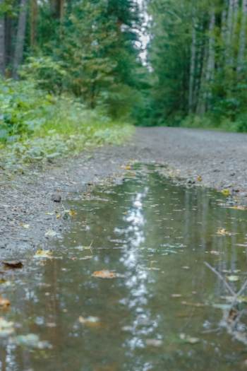 puddle on trail around Bad klosterlausnitz