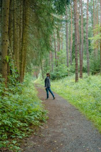 me among pine trees in Bad Klosterlausnitz