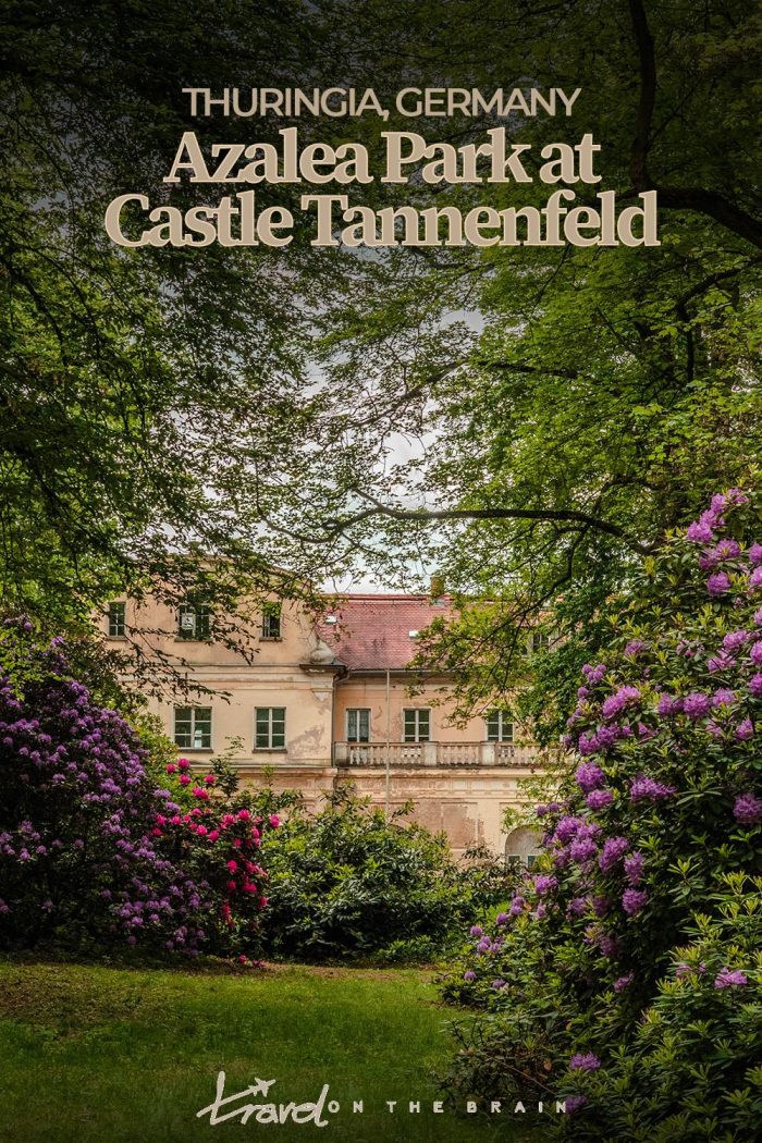 Central Germany’s Secret Azalea Garden: The Parks of Castle Tannenfeld in Thuringia