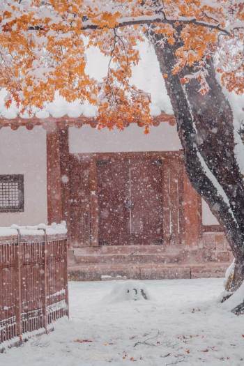 heavy snowfall in front of wooden temple doors