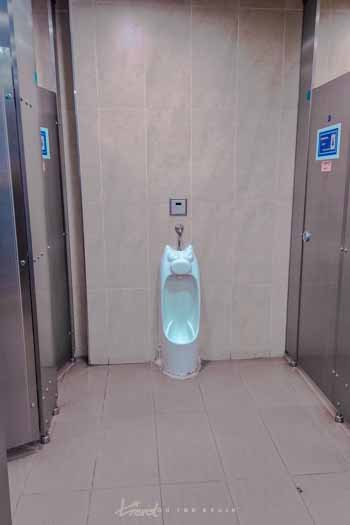 Where to Find Public Toilets in Seoul