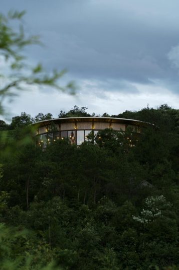 dark forest tips with a round house nestled in the middle