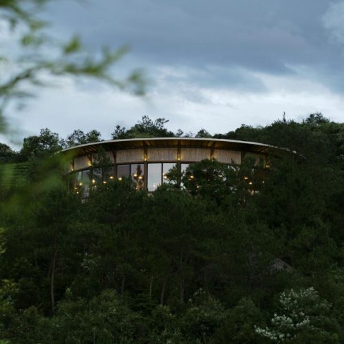 dark forest tips with a round house nestled in the middle