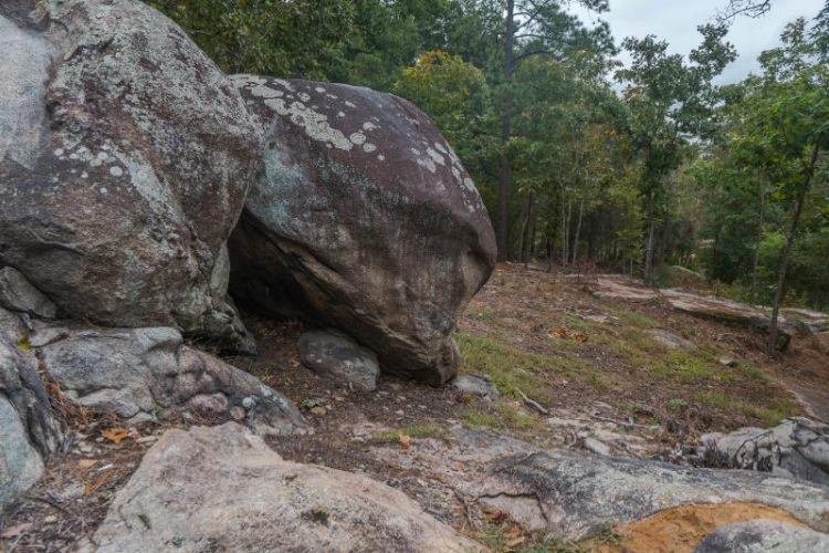round, grey stones in front of green forest