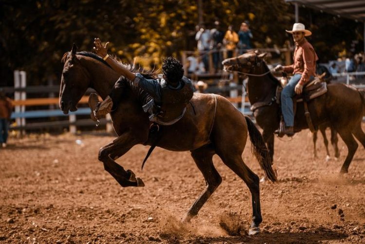 a man falling from his horse while another rider watches from his horse