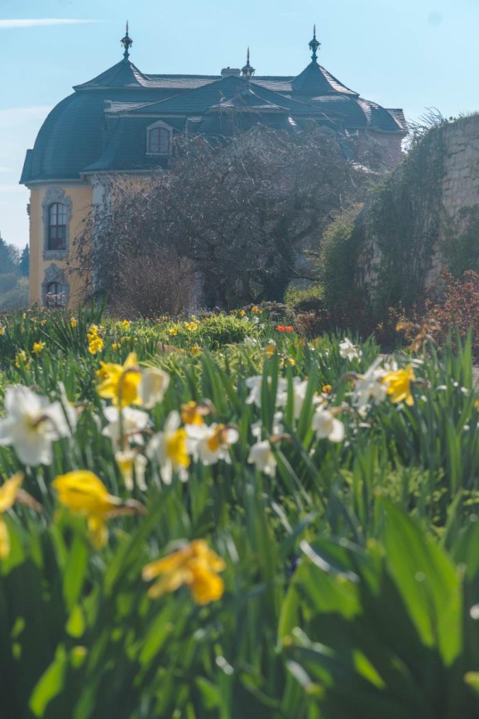 3-in-1: Visiting the Dornburg Castle for Views, History and a Royal Meeting