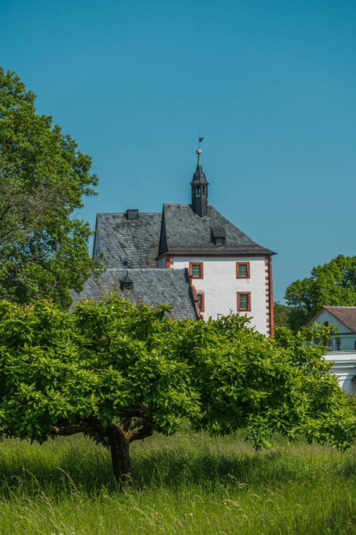 Quaint and Lush: Visiting Castle Kochberg in Germany